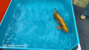 WechatIMG138.jpeg WechatIMG138.jpeg